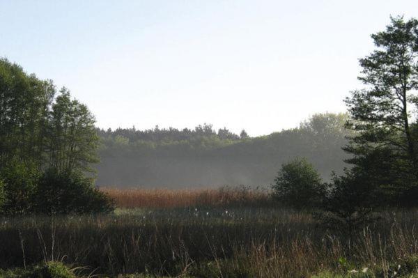 Fewo Ferien Am Schweriner See Flessenow Εξωτερικό φωτογραφία